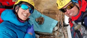 Marmott Mummy 6600 years Old Monte Rosa