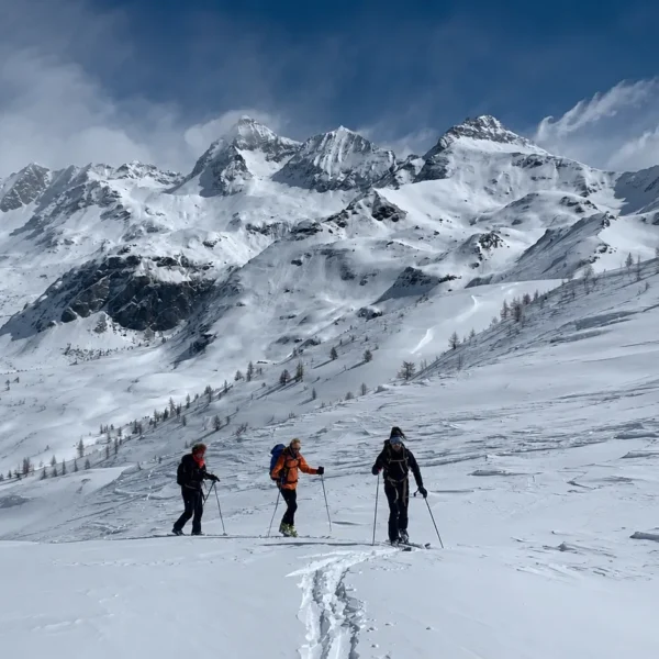 freeride groups